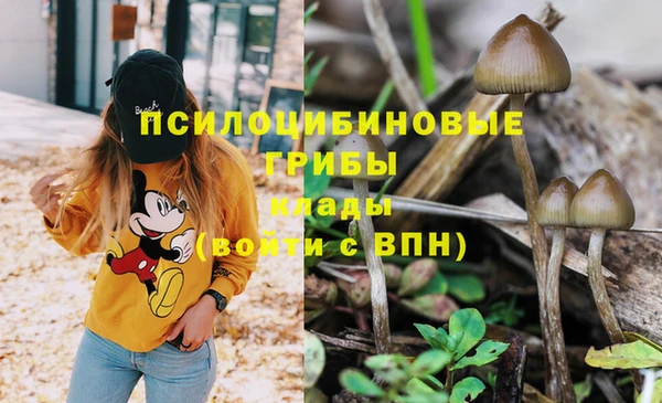 кокаин премиум Верхний Тагил